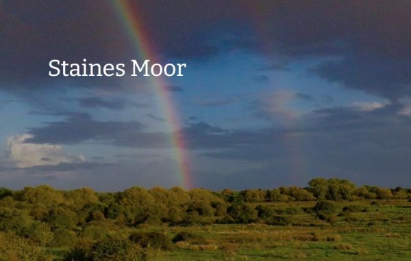 Staines Moor